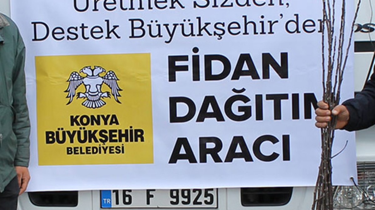 ILICAK MAHALLESİ MEYVE FİDANI DESTEĞİ faaliyet gorseli