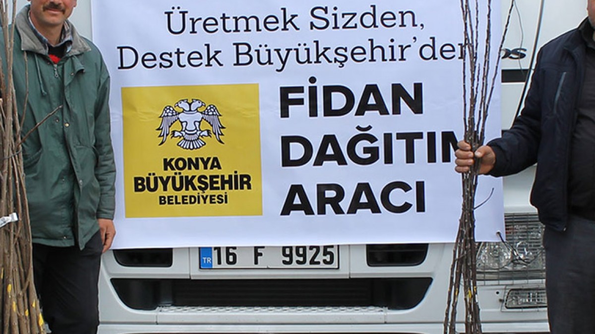 SAVAŞ MAHALLESİ MEYVE FİDANI DESTEĞİ faaliyet gorseli