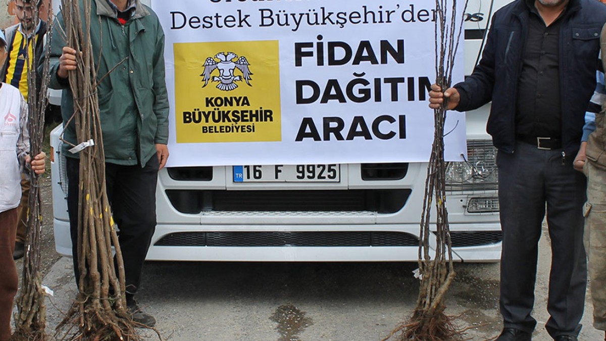 ULUPıNAR MAHALLESİ MEYVE FİDANI DESTEĞİ faaliyet gorseli