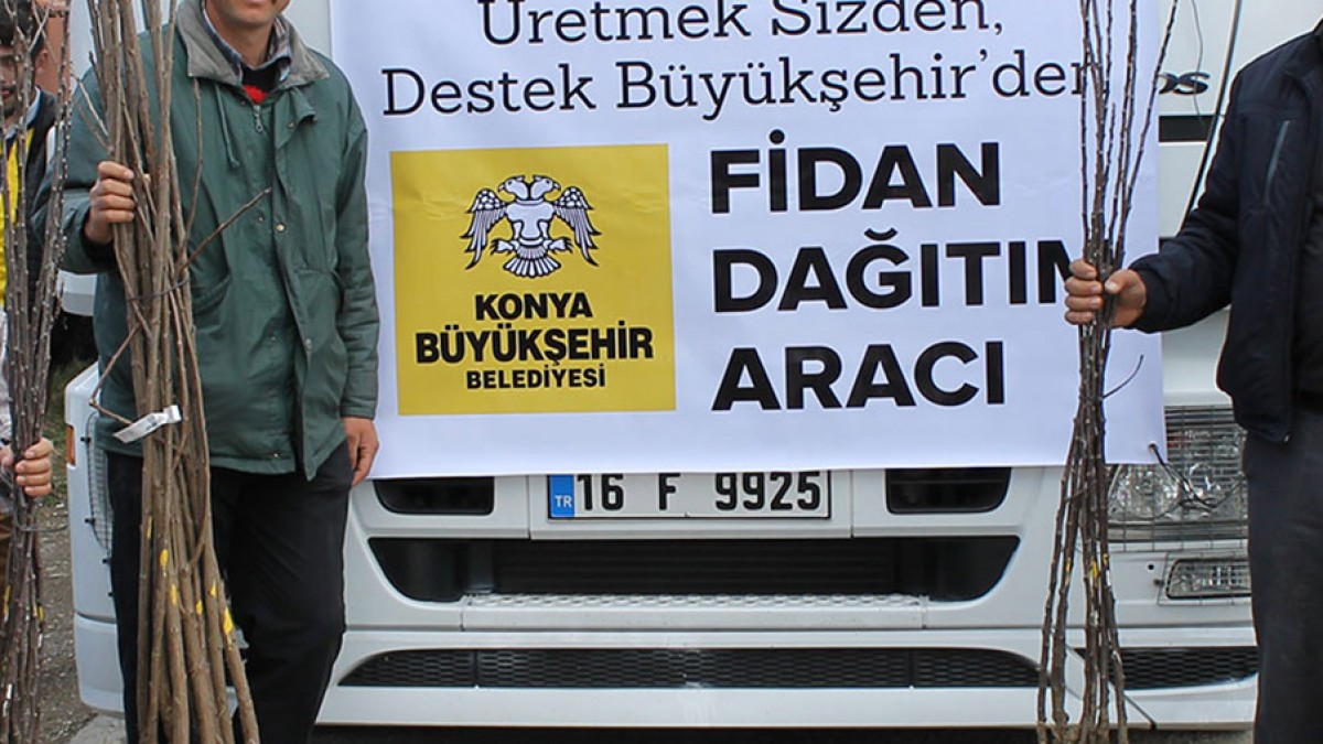 YAYLABELEN MAHALLESİ MEYVE FİDANI DESTEĞİ faaliyet gorseli