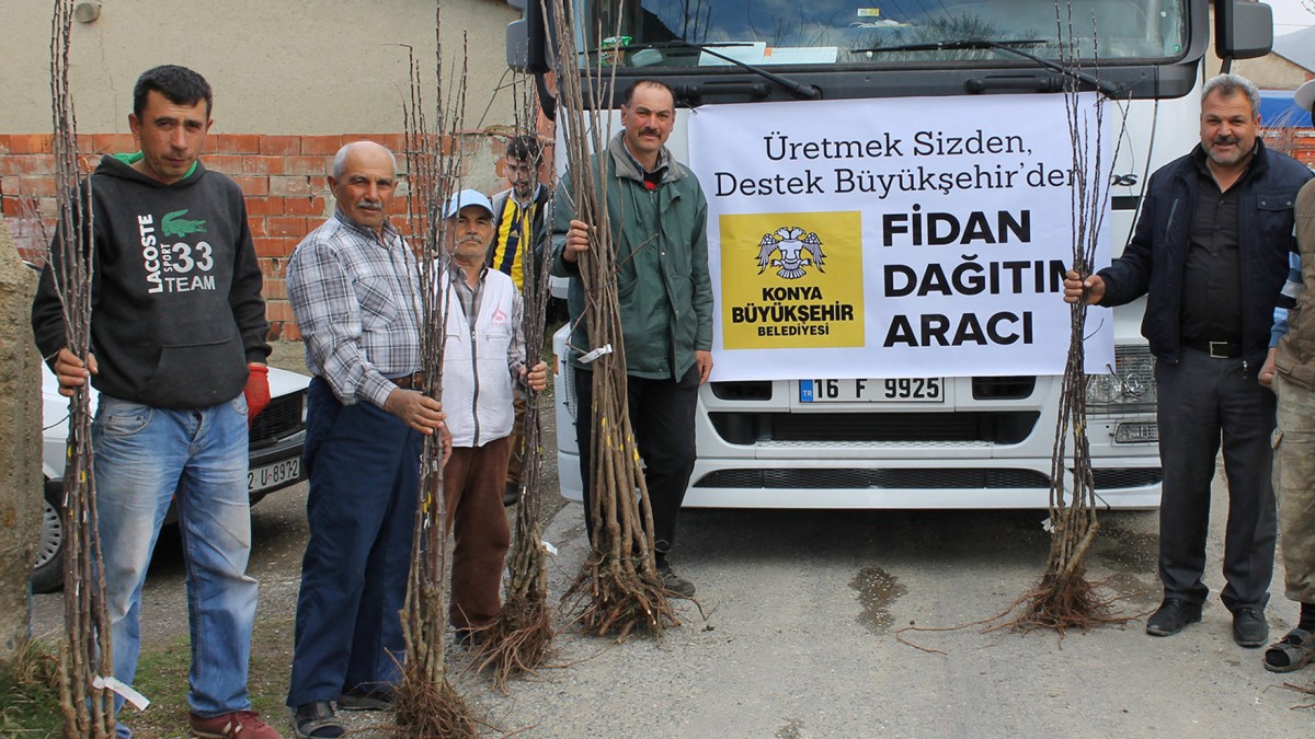 KOZAĞAÇ MAHALLESİ FİDAN DESTEĞİ faaliyet gorseli