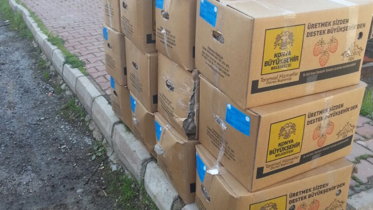 YARENLER MAHALLESİ ÇİLEK FİDESİ VE MALÇ NAYLONU DESTEĞİ faaliyet gorseli