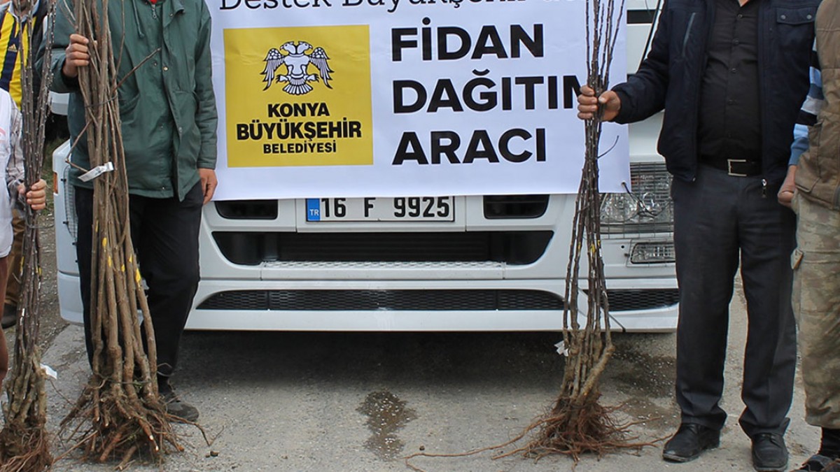 KOÇKAYA MAHALLESİ MEYVE FİDAN DESTEĞİ faaliyet gorseli