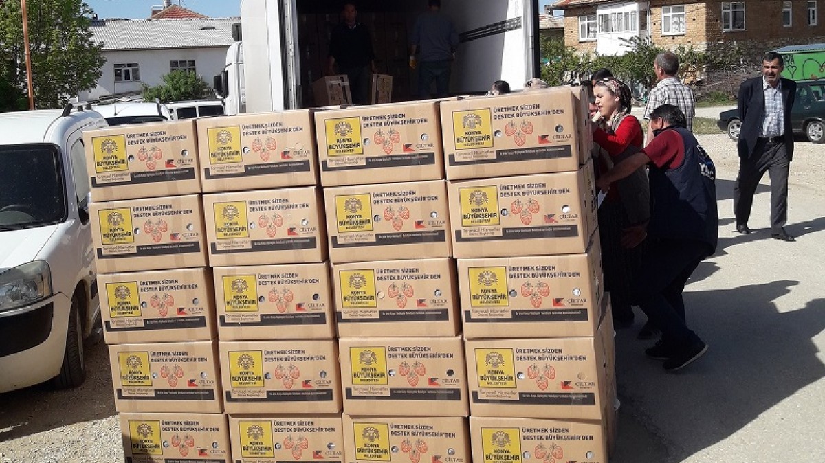AKÇABELEN MAHALLESİ ÇİLEK FİDESİ VE MALÇ NAYLONU DESTEĞİ faaliyet gorseli