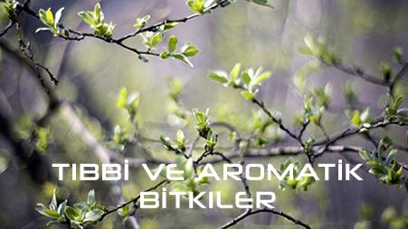 DEĞİRMENKÖY MAHALLESİ ÇİFTÇİ EĞİTİMİ faaliyet gorseli
