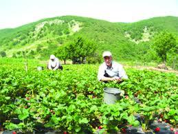 GÖLYAKA MAHALLESİ ÇİFTÇİ EĞİTİMİ faaliyet gorseli
