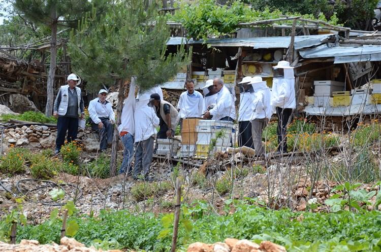 DOĞANBEY MAHALLESİNDE BİOTEKNİK MÜCADELE EĞİTİMİ faaliyet gorseli