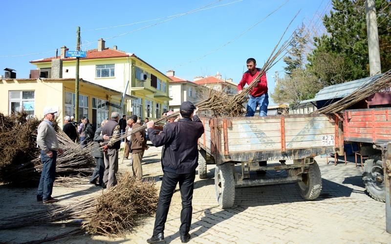 ALİBEYHÜYÜĞÜ MAHALLLESİ FİDAN VE FİDE DESTEĞİ faaliyet gorseli