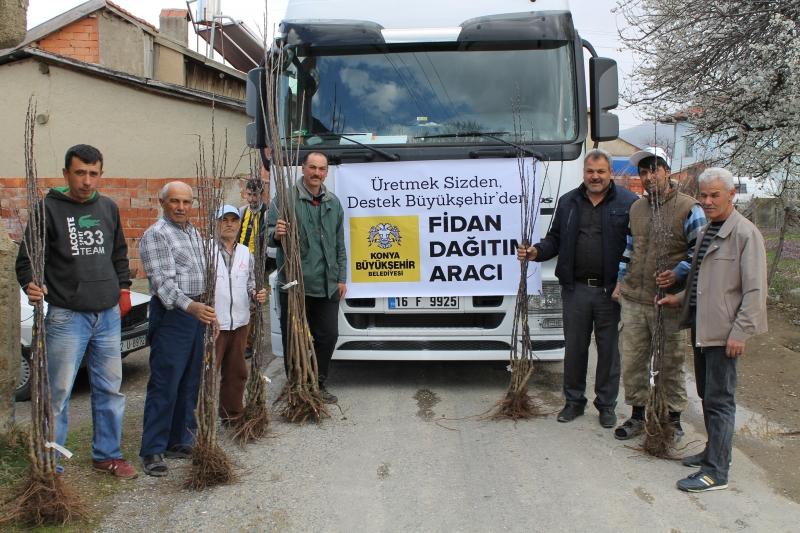 ERENTEPE  MAHALLLESİ FİDAN DESTEĞİ faaliyet gorseli