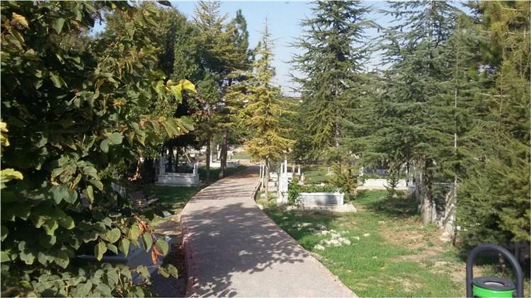 ARAPLAR MEZARLIĞI BAKIM ONARIMI faaliyet gorseli