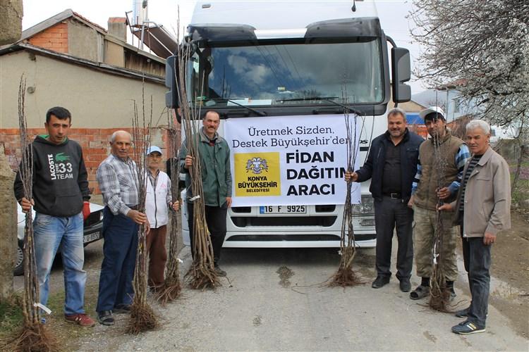 ENGİLİ MAHALLESİ YARI BODUR KİRAZ DESTEĞİ faaliyet gorseli