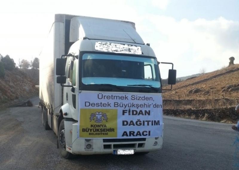 YAZLICA MAHALLESİ ASMA FİDANI DESTEĞİ faaliyet gorseli