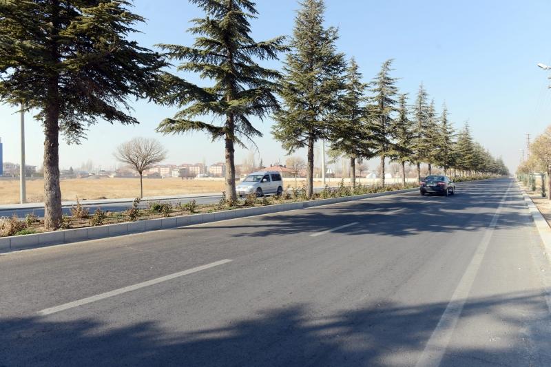 AFYONKARAHİSAR CADDESİ -  ANA CADDE TANZİMİ  faaliyet gorseli