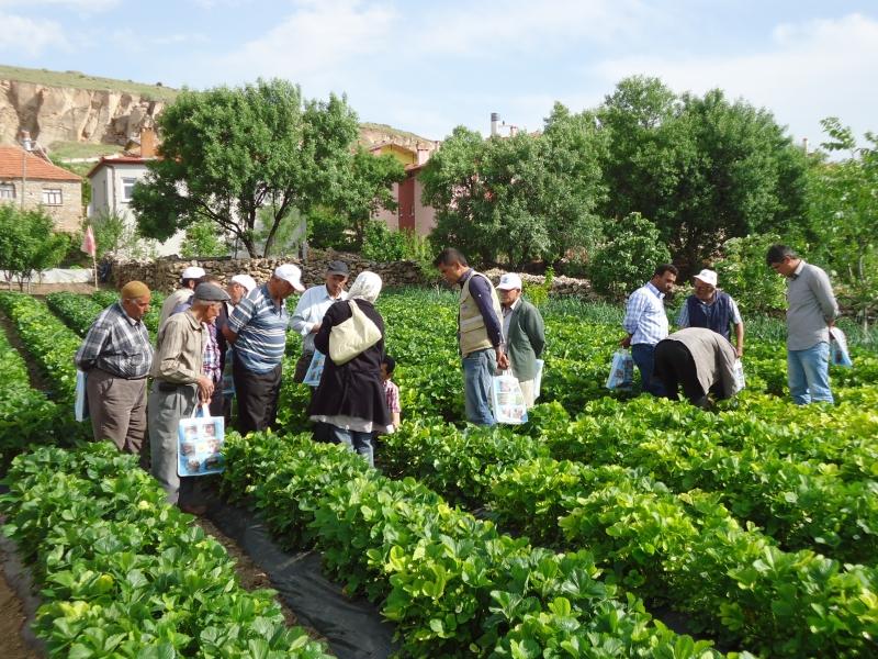 AYDINKIŞLA MAHALLESİ ÇİFTÇİ EĞİTİMİ faaliyet gorseli