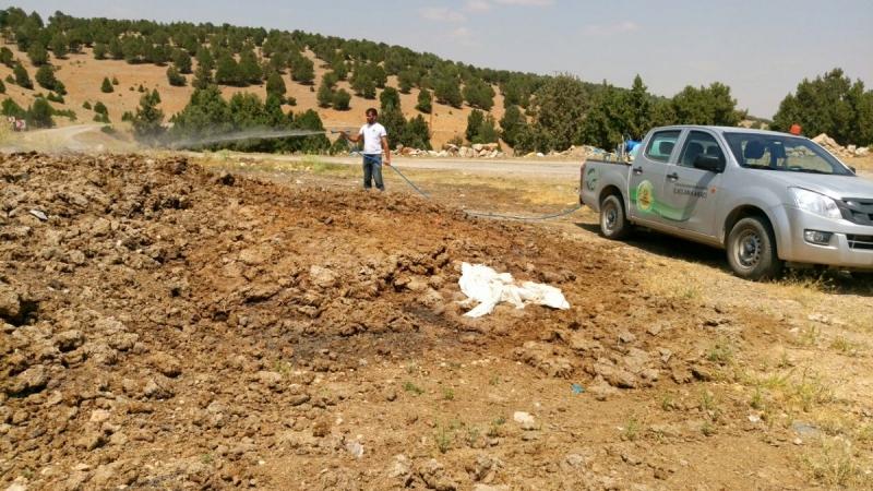 2016 YILI LARVA VE UÇKUN  İLAÇLAMA ÇALIŞMALARI faaliyet gorseli