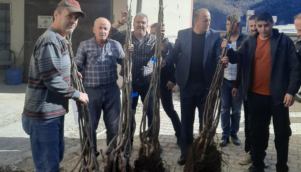 2025 FİDAN DESTEĞİ faaliyet gorseli