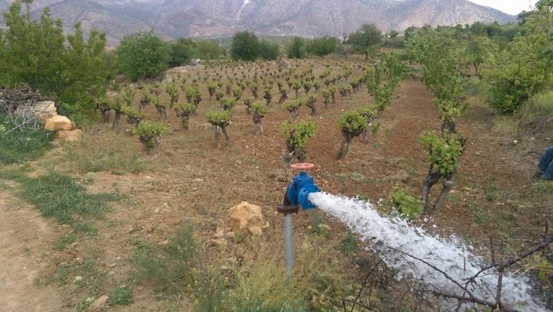  BAŞARAKAVAK MAHALLESİ BORULU SULAMA SİSTEMİ faaliyet gorseli