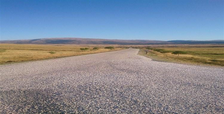 ŞEREFLİ MAHALLE YOLU faaliyet gorseli