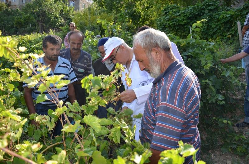 KÜÇÜKÖZ MAHALLESİNDE ÇİFTÇİ EĞİTİMİ faaliyet gorseli