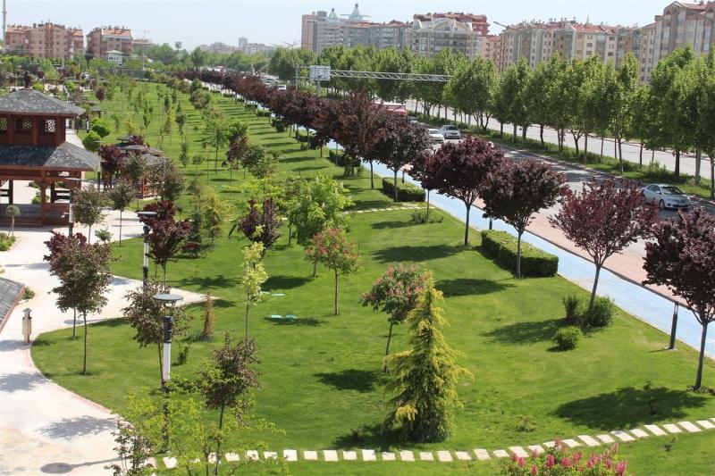 HAFIZ HALİT MULİÇ PARKI  faaliyet gorseli