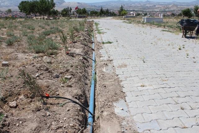YENİCEOBA MAHALLE MEZARLIĞI DAMLA SULAMA SİSTEMİ  faaliyet gorseli