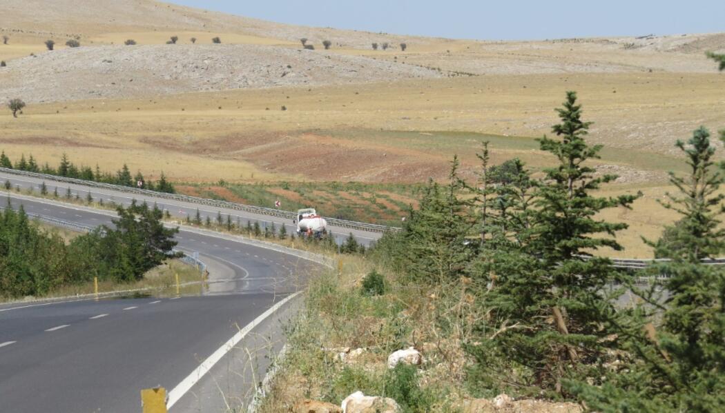 ANTALYA Ç. YOLU  ORTA REFÜJ AĞAÇLANDIRMASI faaliyet gorseli