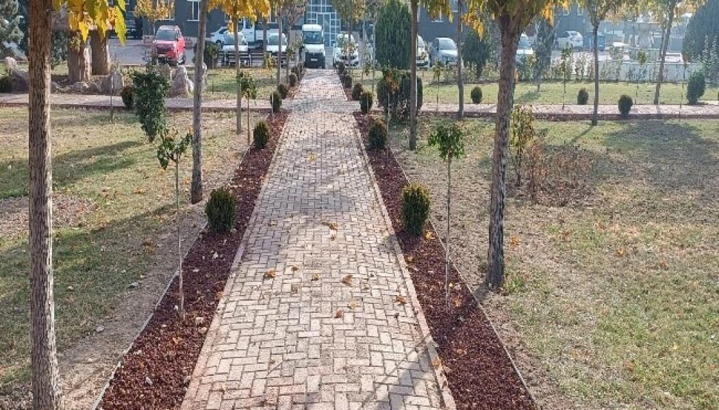 TATLICAK FEN İŞLERİ PEYZAJ DÜZENLEME faaliyet gorseli