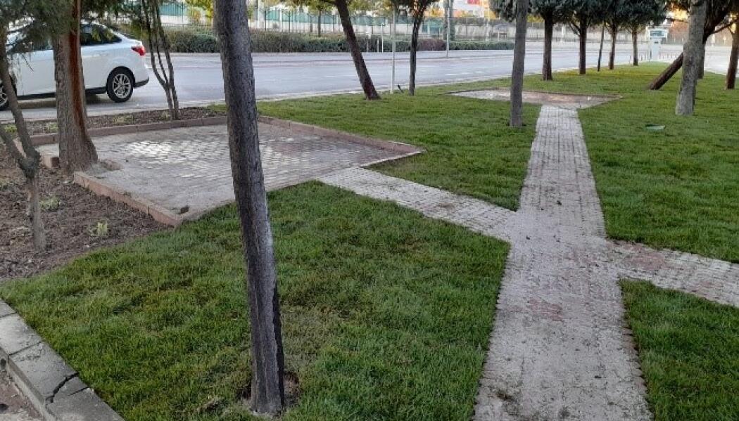 ŞEHİT AİLELER DERNEĞİ PEYZAJ DÜZENLEME faaliyet gorseli