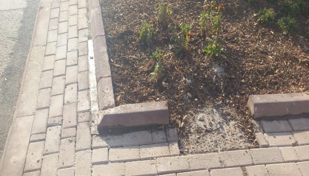 NALÇACI CADDESİ PEYZAJ DÜZENLEME faaliyet gorseli