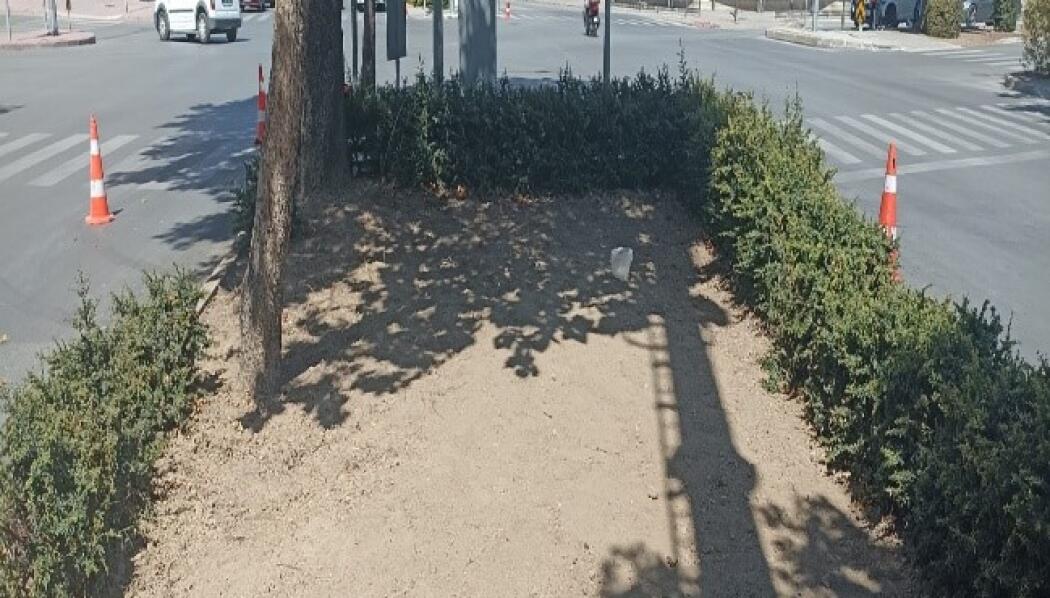 RAUF DENKTAŞ CADDESİ PEYZAJ DÜZENLEME faaliyet gorseli