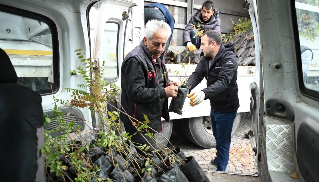 2025 FİDAN DESTEĞİ faaliyet gorseli