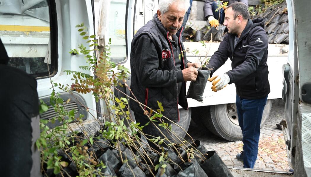 2025 FİDAN DESTEĞİ faaliyet gorseli