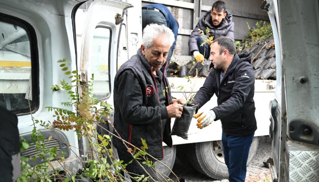 2025 FİDAN DESTEĞİ faaliyet gorseli