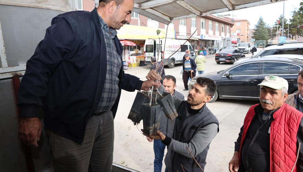 2025 FİDAN DESTEĞİ faaliyet gorseli