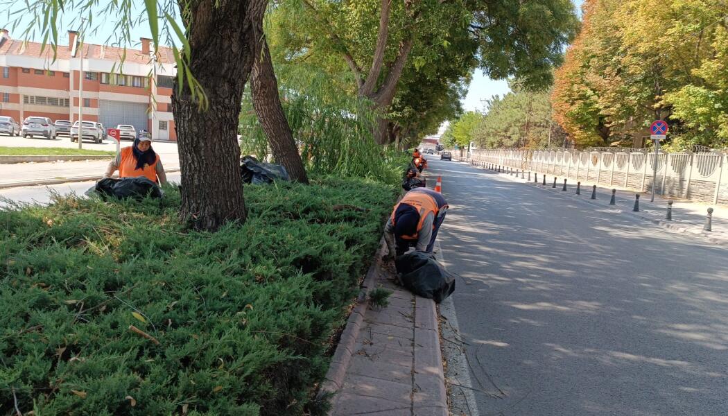 PARK VE BAHÇELER DAİRESİ BAŞKANLIĞI ALTINDA BULUNAN CADDE, REFÜJ VE PARK ALANLARINDA YABANCI OT TEMİZLİĞİ ÇALIŞMASI faaliyet gorseli