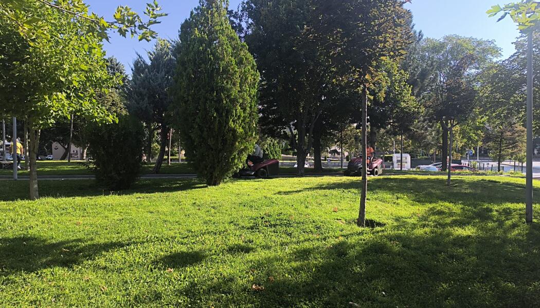 PARK VE BAHÇELER DAİRESİ BAŞKANLIĞI ALTINDA BULUNAN CADDE, REFÜJ VE PARK ALANLARINDA ÇİM BİÇİM ÇALIŞMASI faaliyet gorseli
