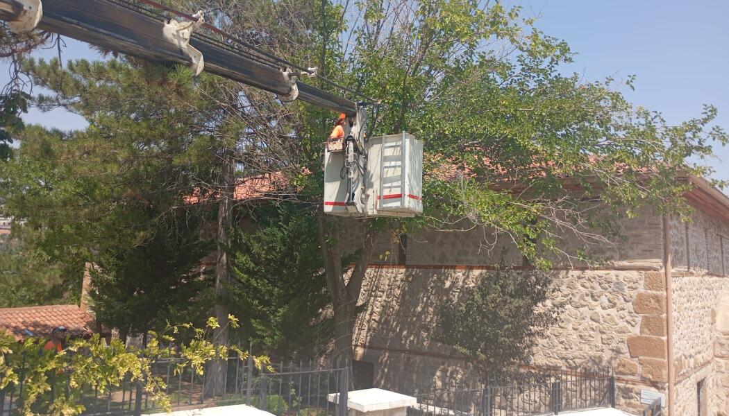 PARK VE BAHÇELER DAİRESİ BAŞKANLIĞI ALTINDA BULUNAN ALANLAR AĞAÇ BUDAMA, ÇALI BUDAMA VE GÜL BUDAMA ÇALIŞMASI faaliyet gorseli