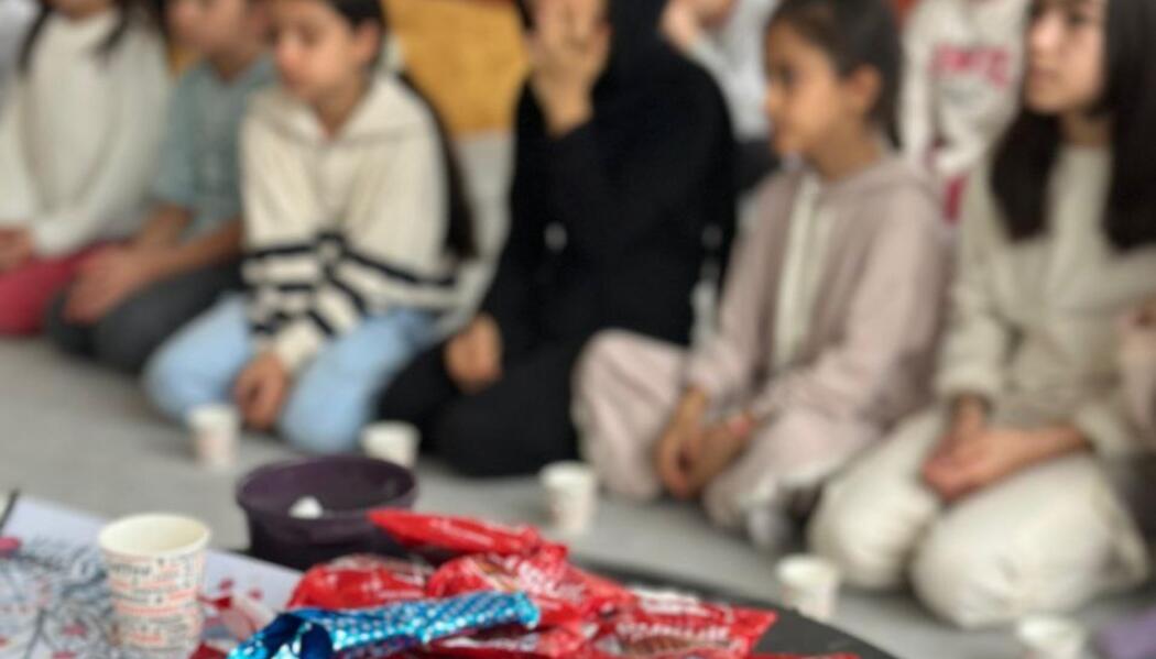 BİLGEHANELER ÜÇ AYLAR VE ŞİVLİLİK faaliyet gorseli