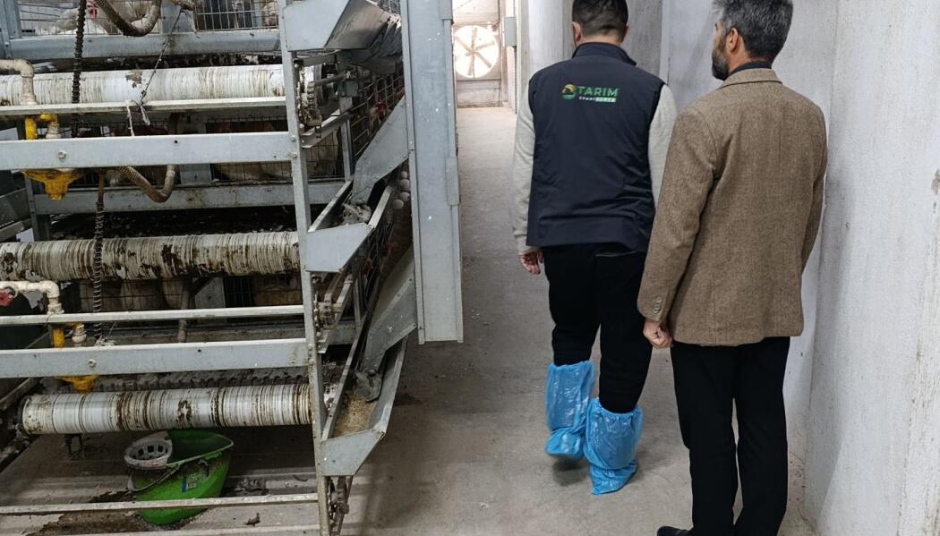 2025 YILI TARIMSAL EĞİTİM VE PROJELER faaliyet gorseli