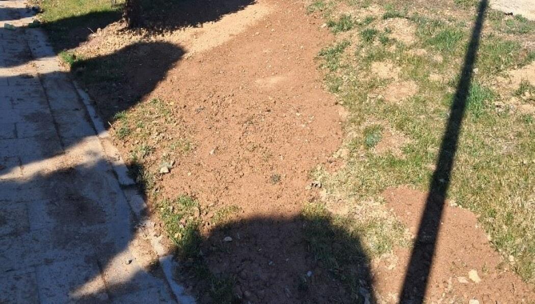 BİLİM MERKEZİ PEYZAJ DÜZENLEME faaliyet gorseli