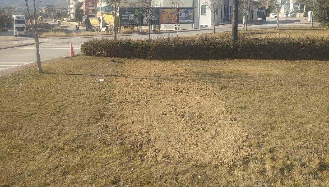 VEYSELKARANİ CADDESİ PEYZAJ DÜZENLEME faaliyet gorseli