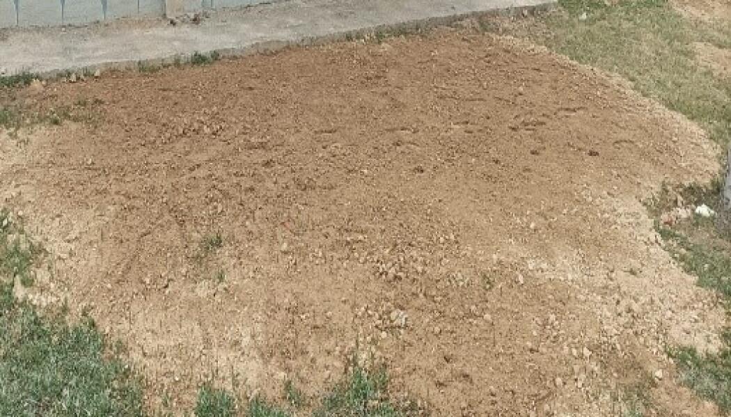 1.ORGANİZE SANAYİ PARKI PEYZAJ DÜZENLEME faaliyet gorseli