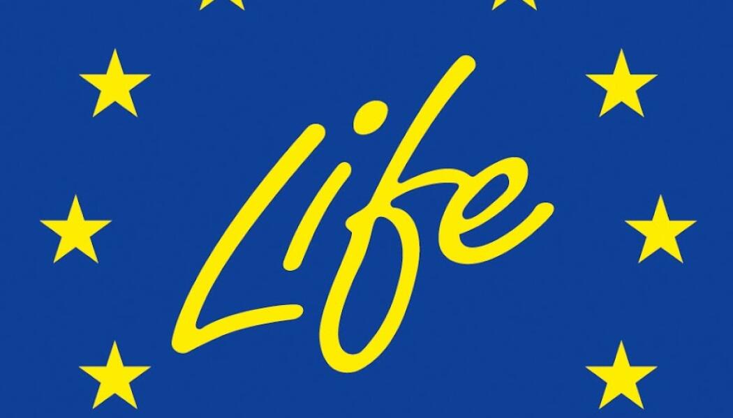UGUIDES- SÜRDÜRÜLEBİLİRLİK İÇİN TEŞVİKLER, VERİLER VE DELİLLER KULLANILARAK KENT YÖNETİMİ PROJESİ faaliyet gorseli