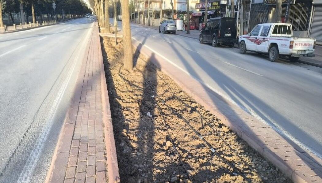 ALAADDİN KAP CADDESİ PEYZAJ DÜZENLEME faaliyet gorseli