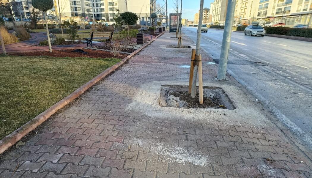 GENÇ OSMAN CADDESİ PEYZAJ DÜZENLEME faaliyet gorseli