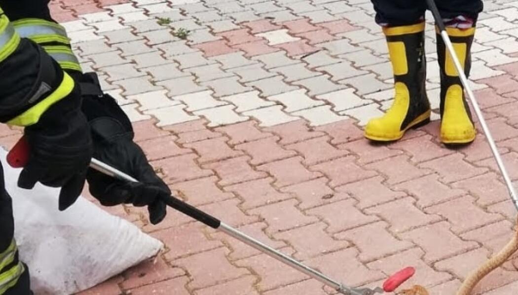 ARAMA-KURTARMA MÜDAHALE ÇALIŞMALARI faaliyet gorseli