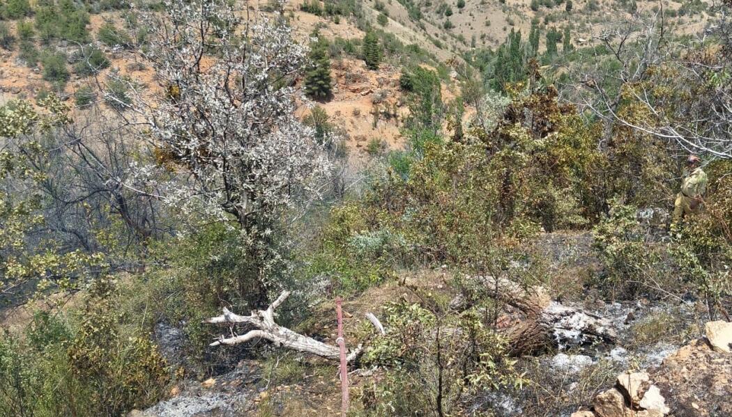 ARAMA-KURTARMA MÜDAHALE ÇALIŞMALARI faaliyet gorseli
