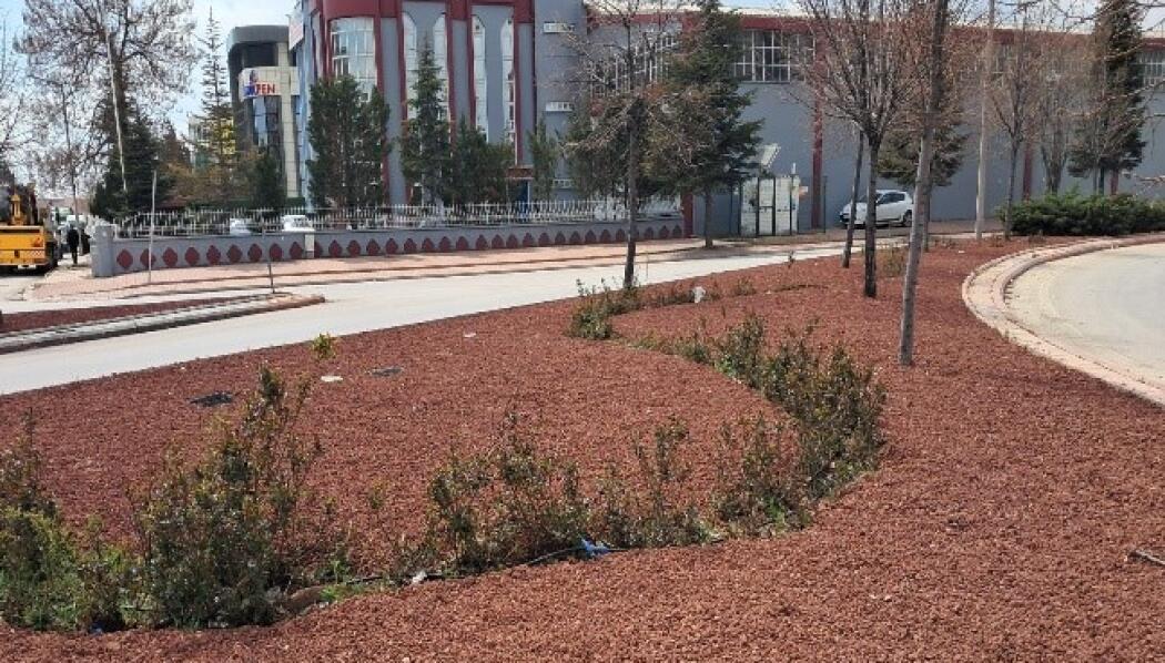 DEMİR CADDESİ PEYZAJ DÜZENLEME faaliyet gorseli