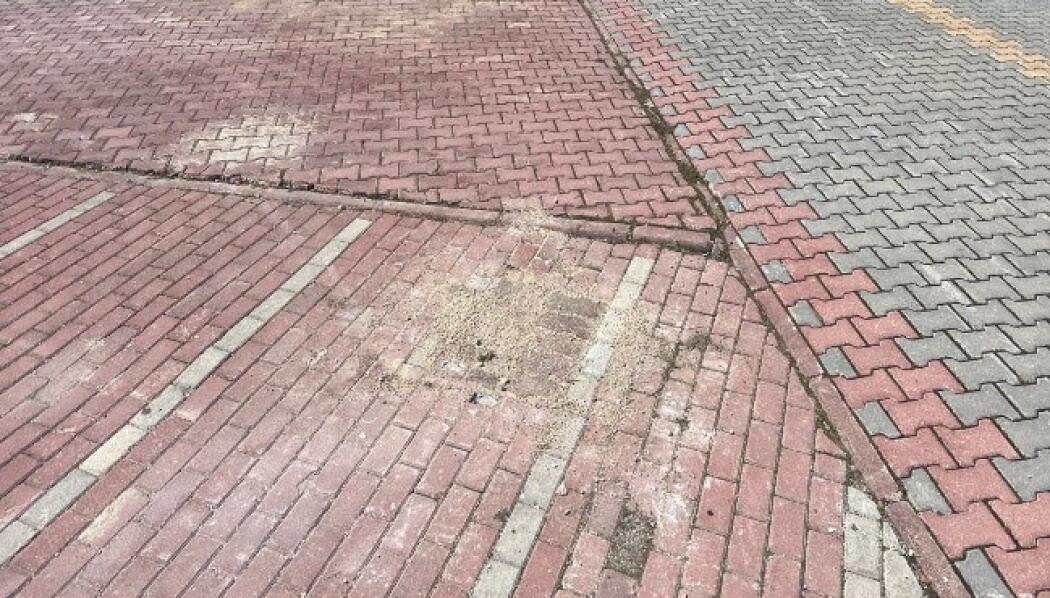TÜRK YILDIZLARI PARKI SERT ZEMİN ÇALIŞMASI faaliyet gorseli
