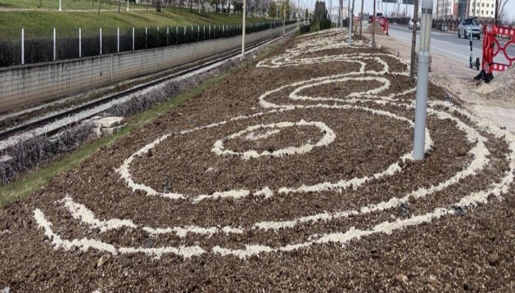 İSTANBUL ÇEVRE YOLU (2) PEYZAJ DÜZENLEME faaliyet gorseli